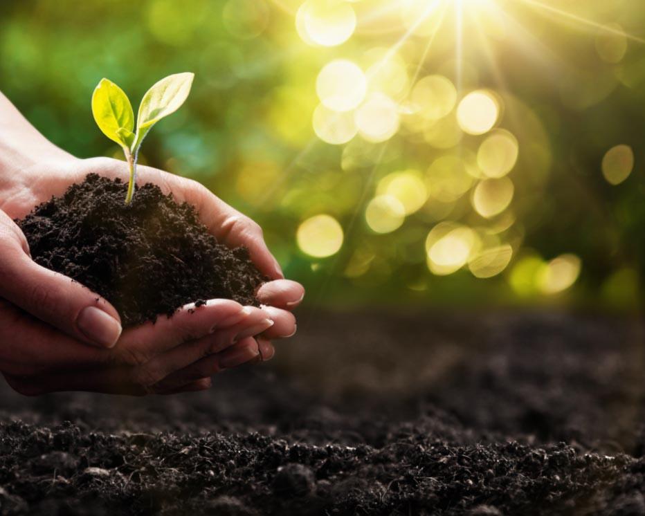 environmental-sustainability