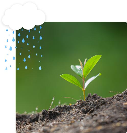 The Importance and Benefits of Our Mission