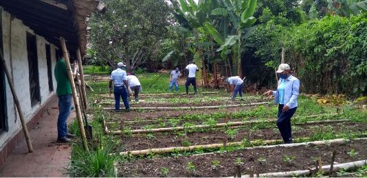 kleine Agroforstwirtschaft-1